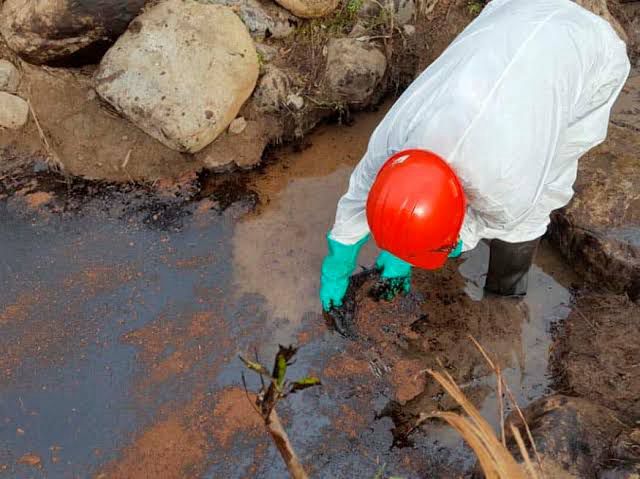 REMEDIACIONES AMBIENTALES